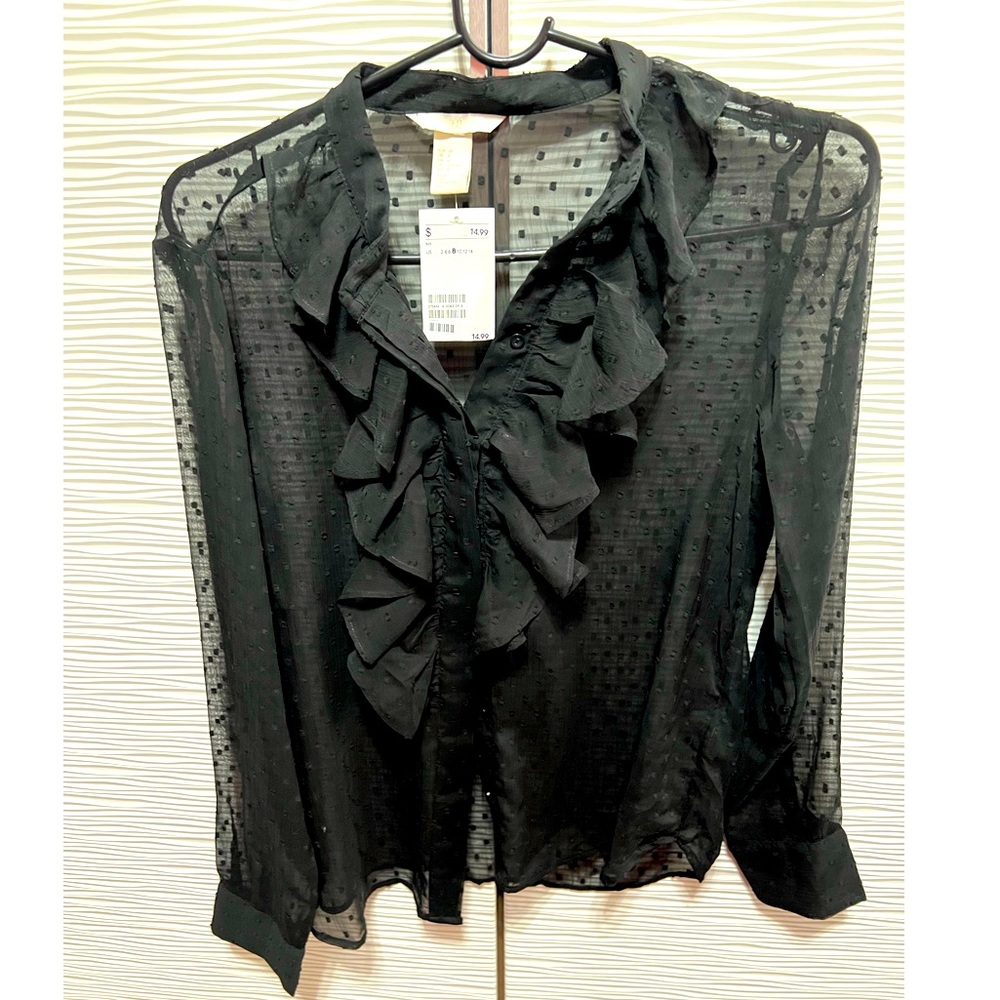 H&M sheer ruffled blouse
